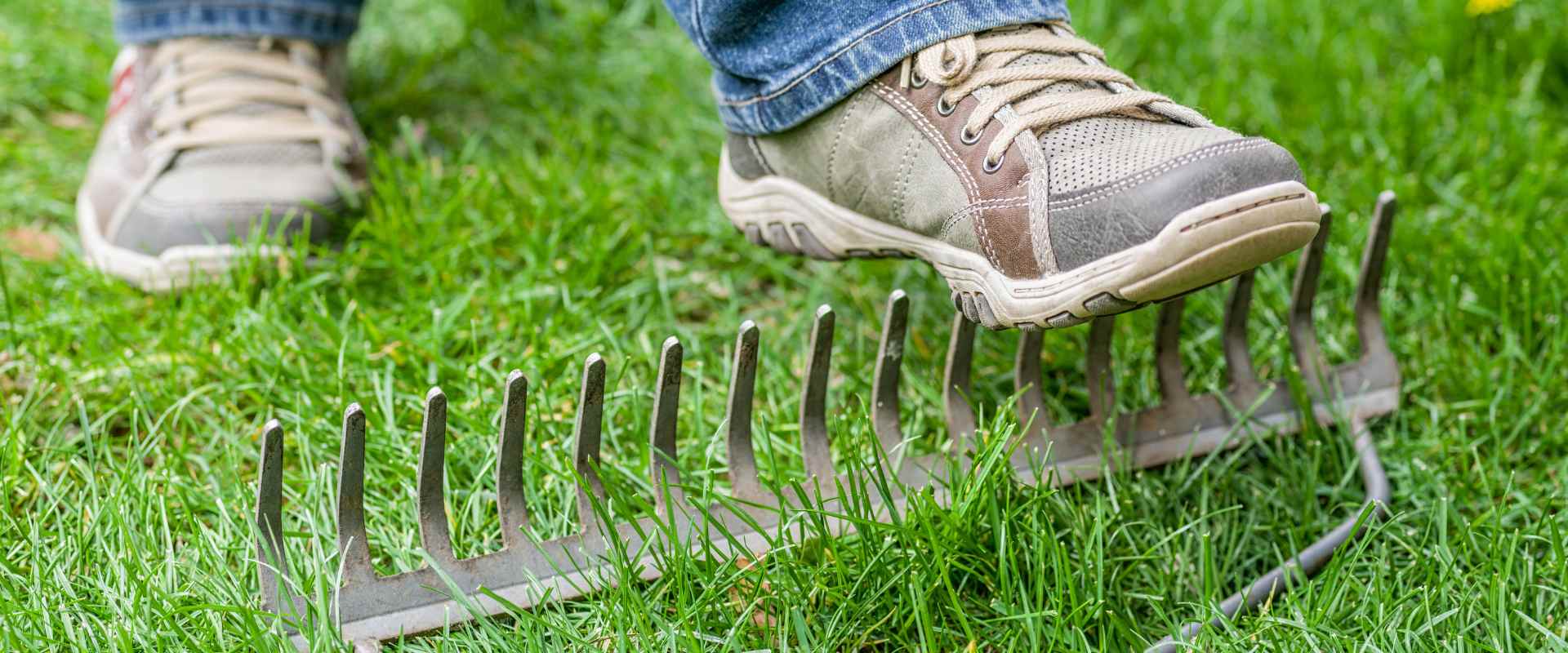 Stepping on Rakes: Personal Accountability